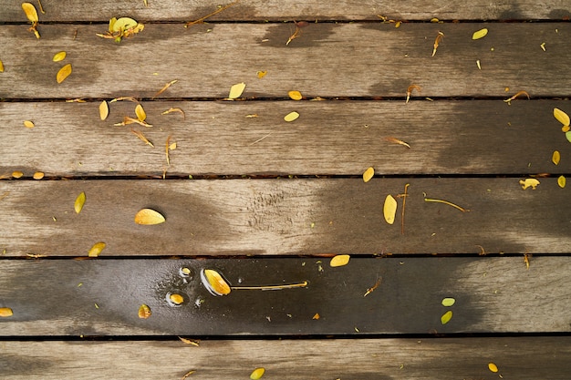 wooden plank closeup wet background