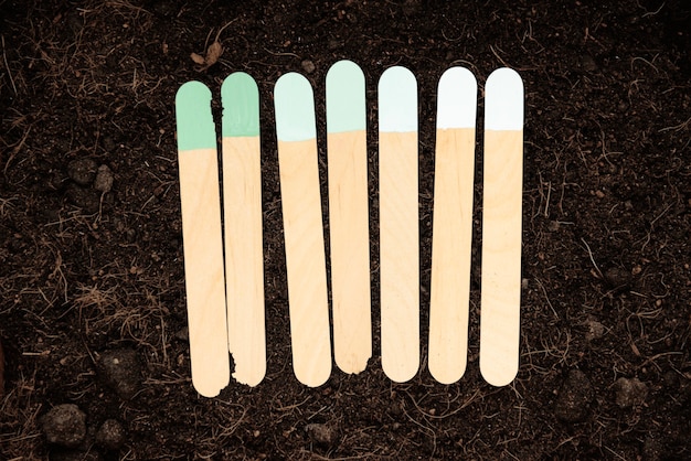 Foto gratuita set di pennarelli da giardino in legno per ghiaccioli