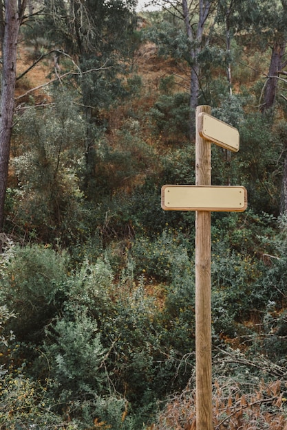 Wooden sign in forest