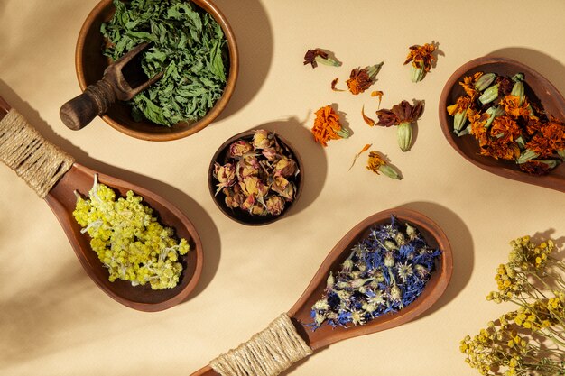 Wooden spoons with plants flat lay