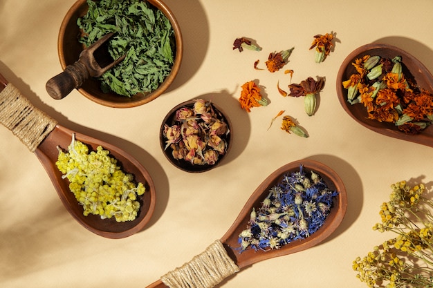 Wooden spoons with plants flat lay