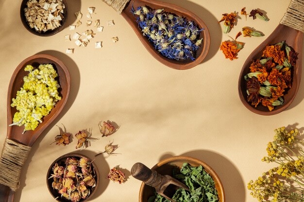 Wooden spoons with plants above view