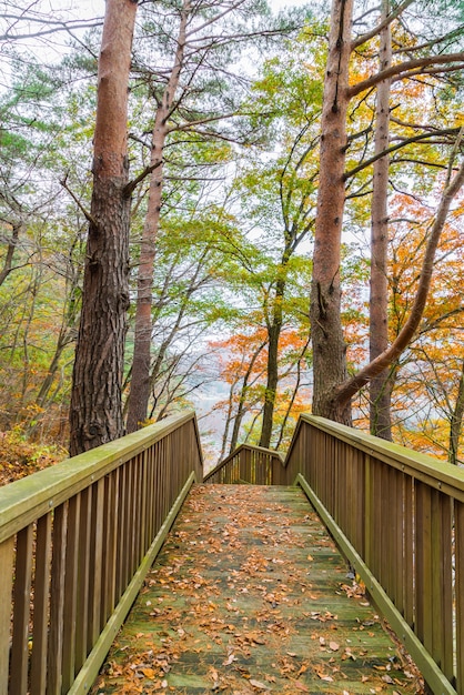 Бесплатное фото Деревянная лестница в парке