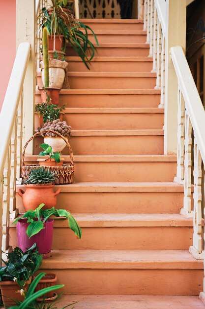 Wooden staircase with flower pots selective focus vertical frame Idea for a screensaver or article about the old town