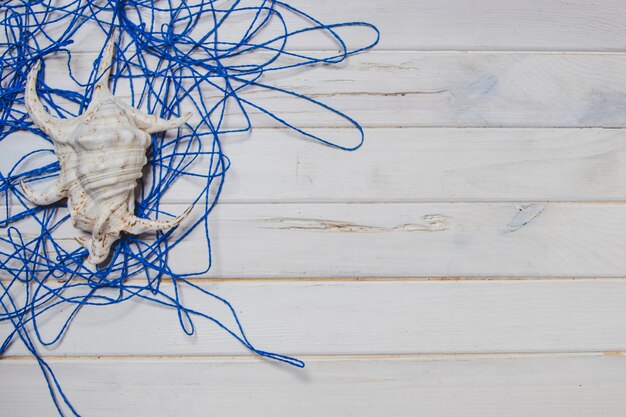 Wooden surface with blue rope and seashell