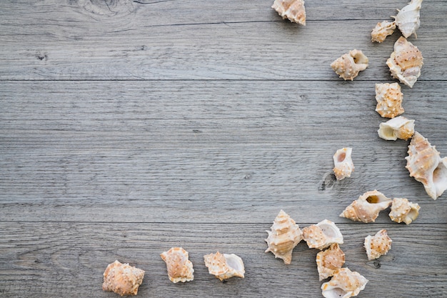 Wooden surface with seashells and blank space