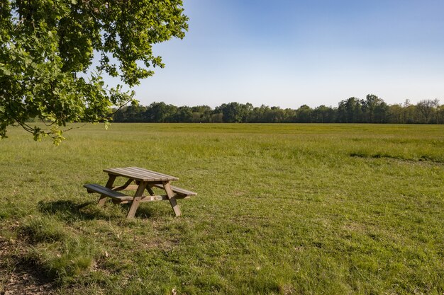 Wooden table and chairs in a green meadow