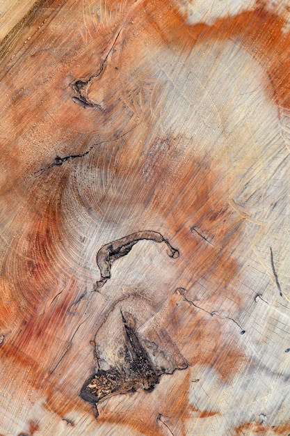 Бесплатное фото Деревянные текстуры в оранжевых тонах