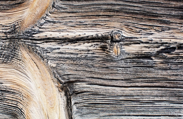 wooden texture