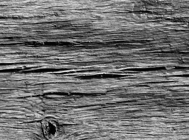 wooden texture