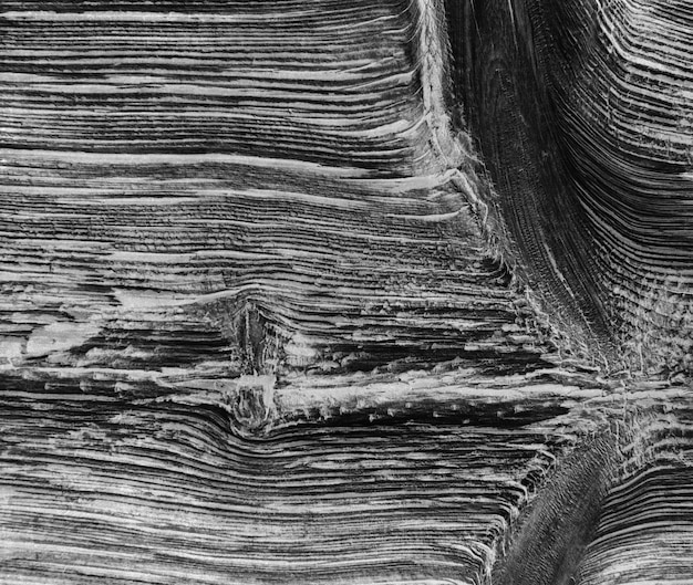 wooden texture