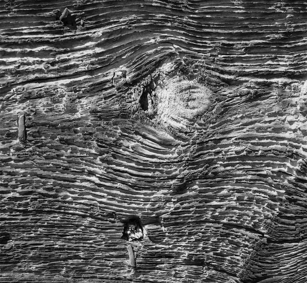 Free photo wooden texture