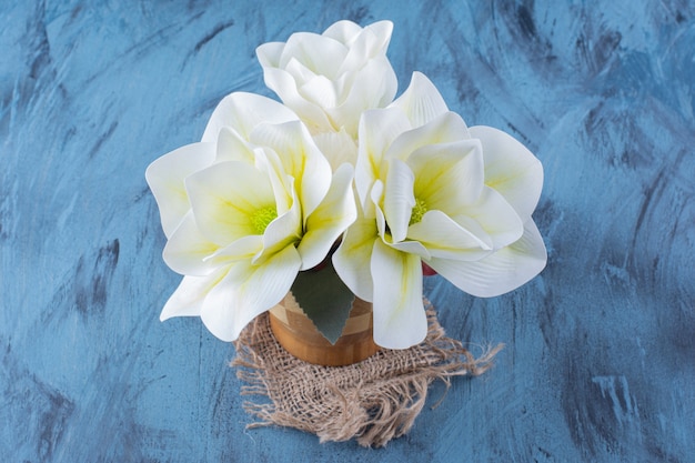 Wooden vase of white magnolia flowers on blue.