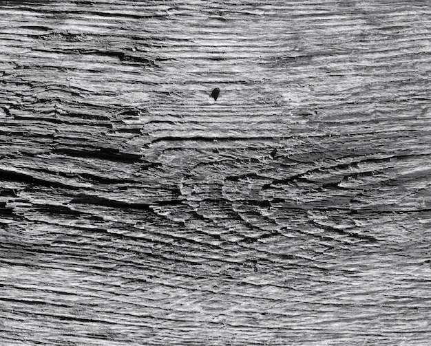 Бесплатное фото Деревянная текстура