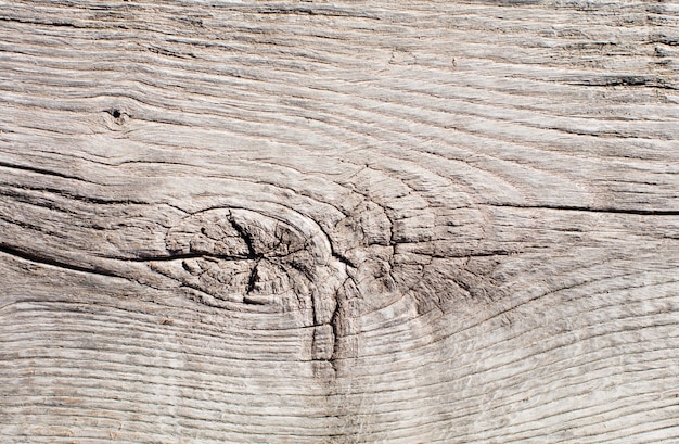 wooden warm texture