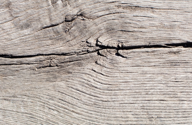 Foto gratuita struttura in legno caldo