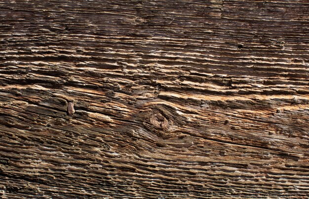 wooden warm texture