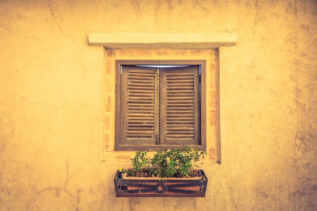 Wooden window with a flowerpot with plants