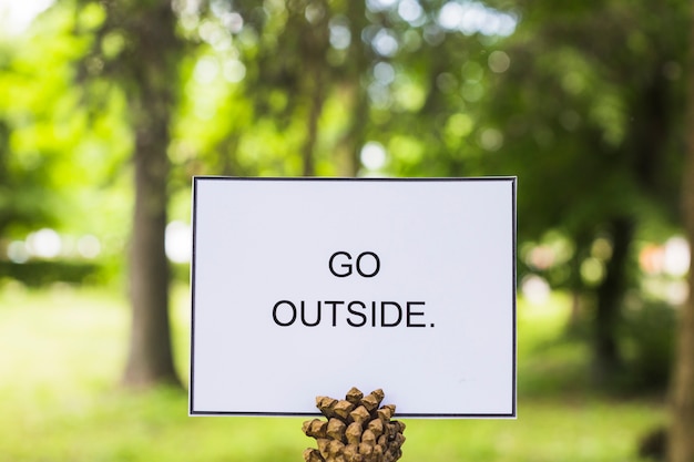 Free photo word go outside on white paper with pine cone