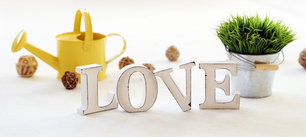 Word Love, watering can and grass on the table