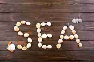 Free photo the word with seashells