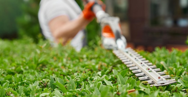 Free photo a worker is cutting grass with a hose.