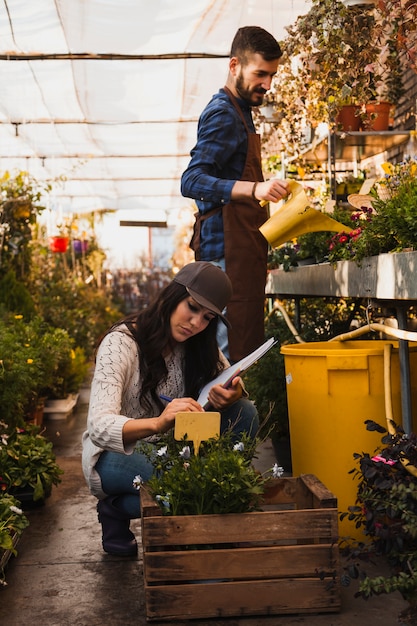 Workers in greenhouse