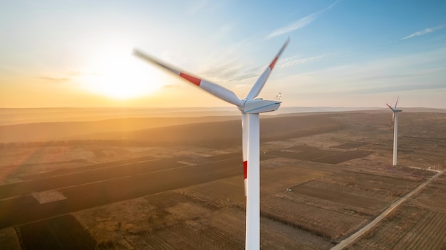 Free photo working wind turbines in moldova