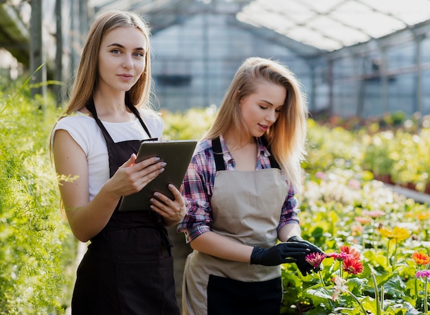 Working women in greenhouse checking process