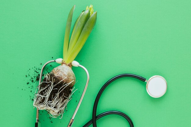 World environment day arrangement with plant and stethoscope