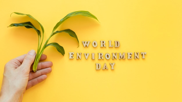 Free photo world environment day arrangement with wooden lettering