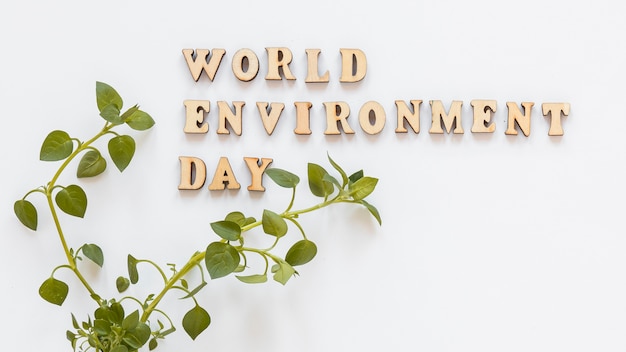 World environment day wooden lettering