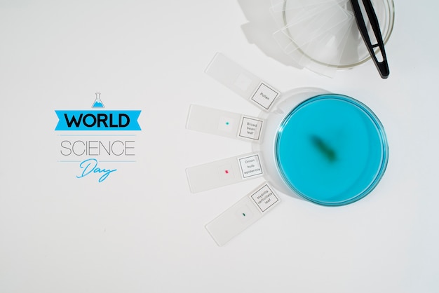 Free photo world science day research composition