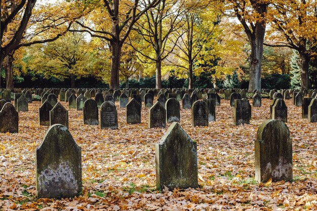 World War I cemetery