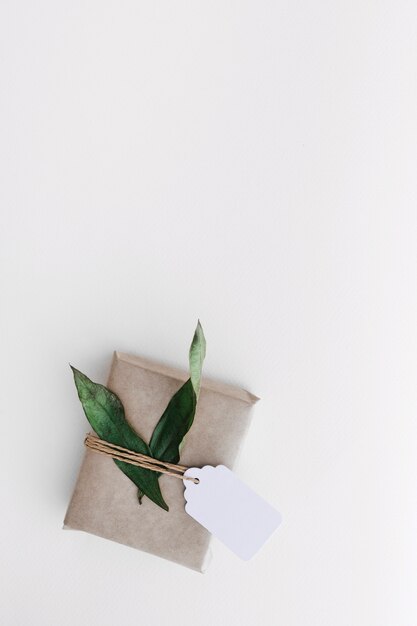 Wrapped gift box with tag and leaves on white background