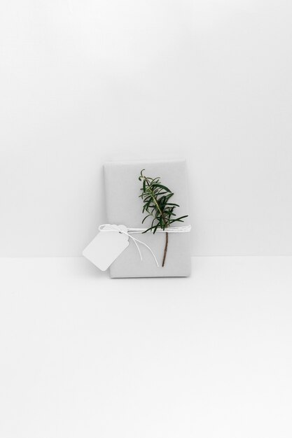 Wrapped gift box with twig and blank tag against white backdrop