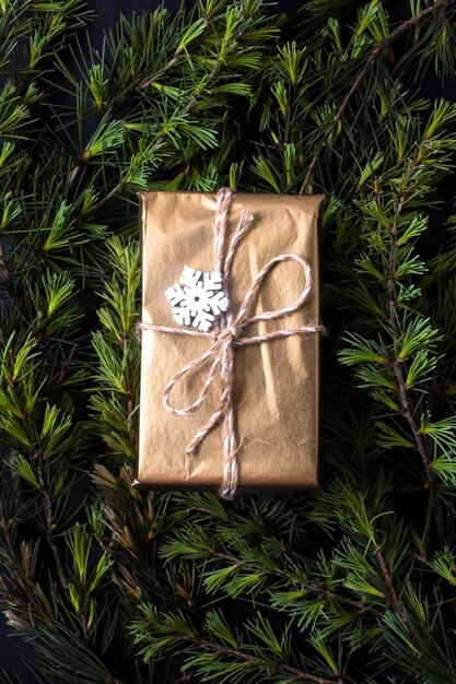 Wrapped gift on tree branches