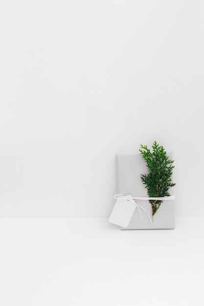 Wrapped present with cedar twig and blank tag against white backdrop