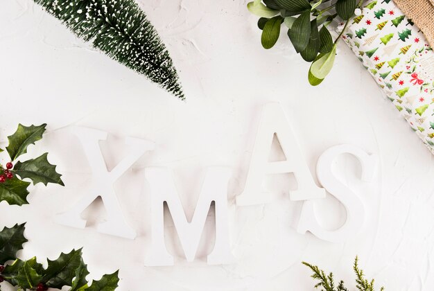 Xmas inscription near Christmas tree and green twigs