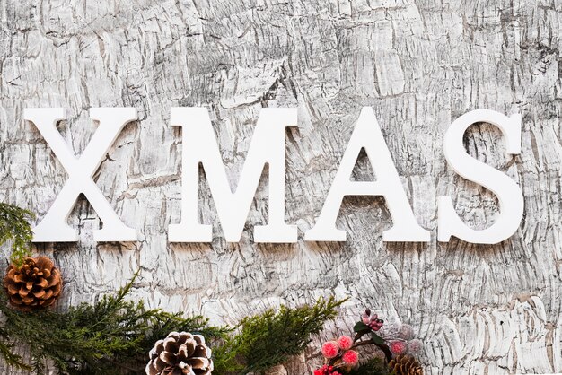 Xmas inscription with green branches 