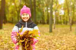 Free photo yellow autumn