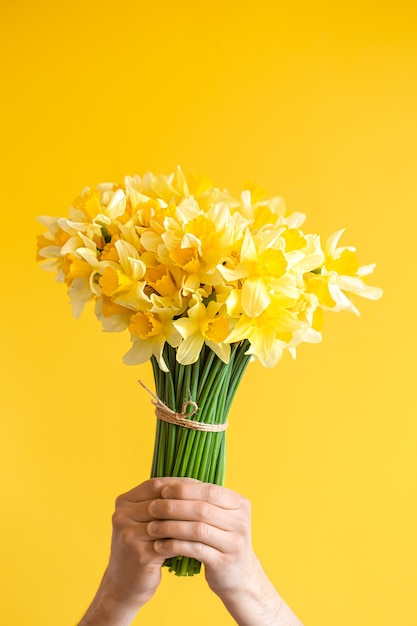 黄色の背景と黄色い水仙の花束を持つ男性の手。挨拶と女性の日のコンセプトです。