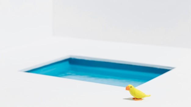 Foto gratuita uccello giallo accanto alla piscina
