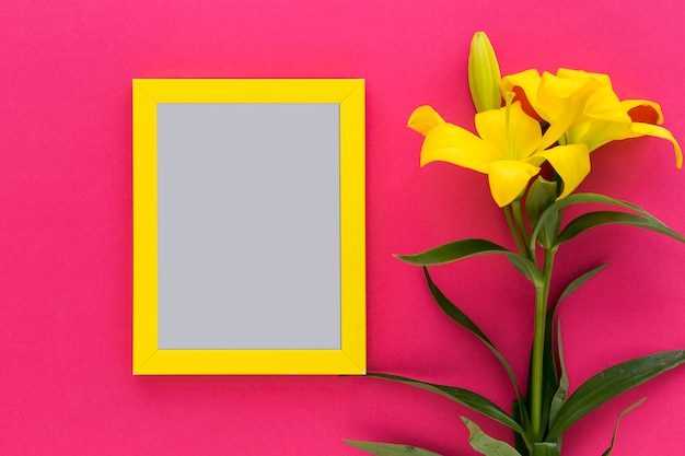 Yellow black frame with yellow lily flower and bud on pink backdrop