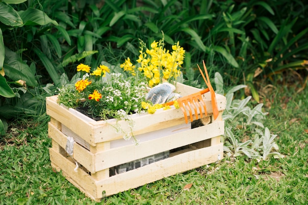 Yellow blooms and garden equipment in wooden box