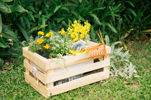 Желтые цветы и садовое оборудование в деревянной коробке