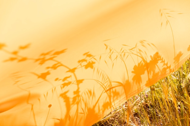 Yellow cloth lying in the fields