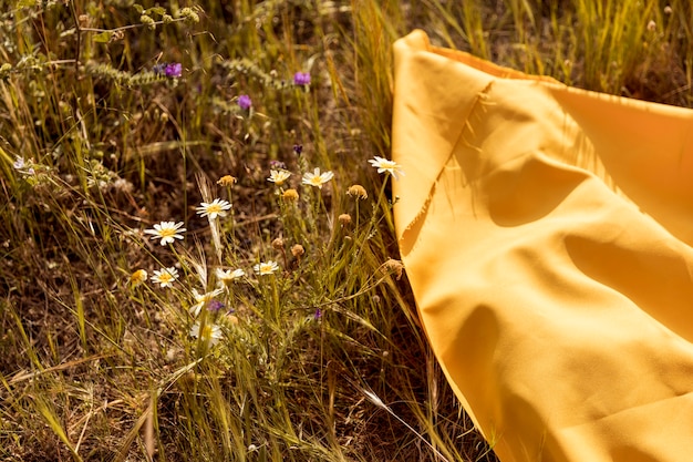 Yellow cloth lying in the fields