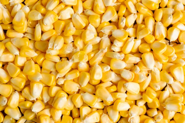 Yellow corns background.