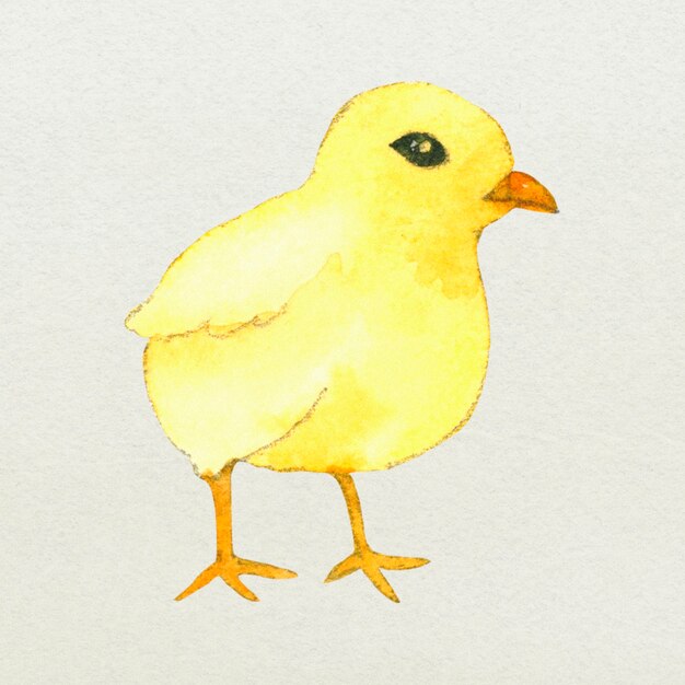 Желтая пасхальная птица элемент дизайна милая акварельная иллюстрация